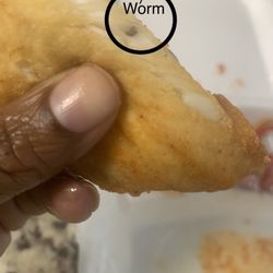 Found ANOTHER WORM‼