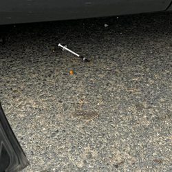 Fox Meadow Apartments - Drug needles in parking lot