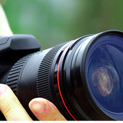 Nickels Professional Investigations - Nickels Professional Investigations logo