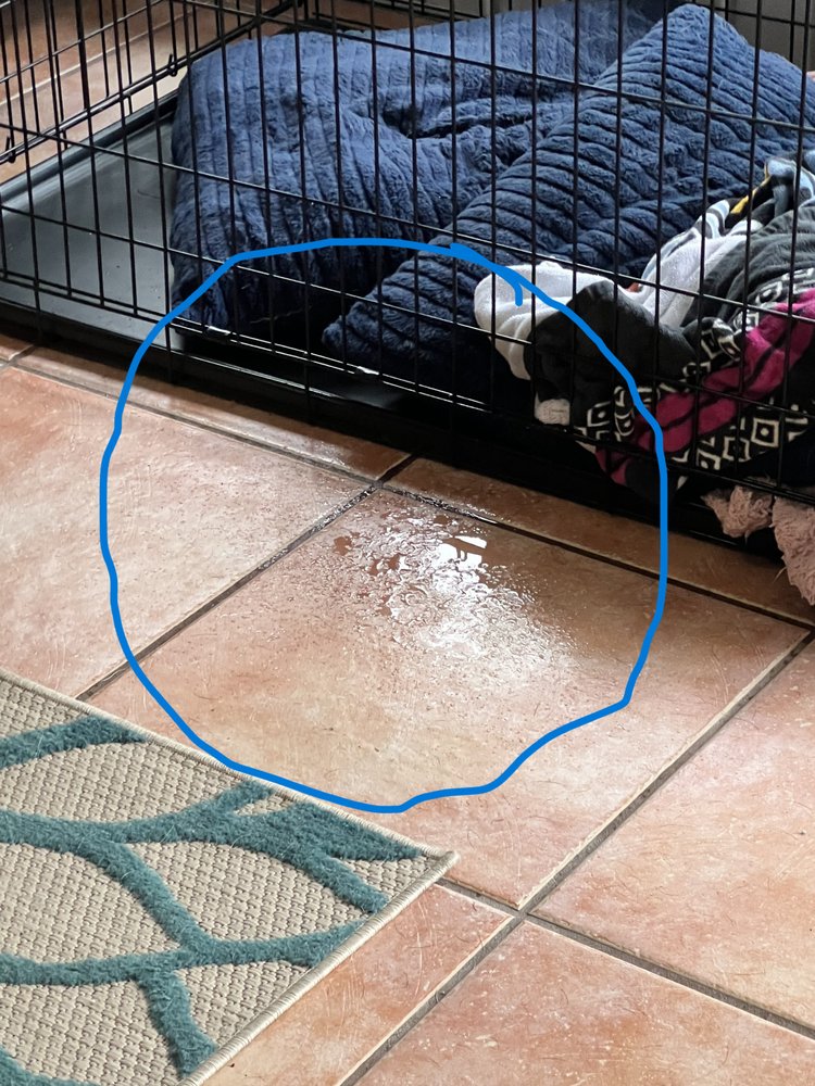 Slide of Ready Roofing