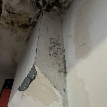 Acculine Leak Detection - Drip leak inside a wall - Plumbing Near Me
