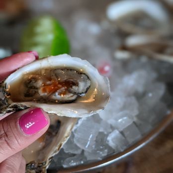Otto’s High Dive - Raw oysters - Cocktail Bars Near Me - Orlando, Florida Otto’s High Dive - Raw oysters - Cocktail Bars Near Me - Orlando, Florida