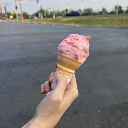 Dini's Ice Cream Shoppe - Animal cracker ice cream