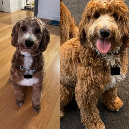 After to the left After to the left