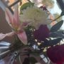 Photo of Green Hills Florist