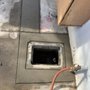 Sugar Bear Home Services