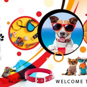 Wagswag Grooming - ShopWagSwag.com - Pet Groomers Near Me - Newark, New York Wagswag Grooming - ShopWagSwag.com - Pet Groomers Near Me - Newark, New York