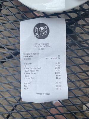 The Flying Fish by null