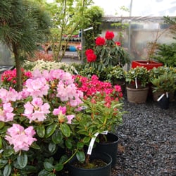 Rogers Gardens