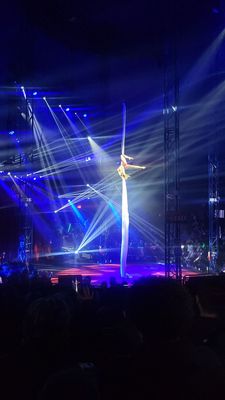 FLIP CIRCUS - 19 Photos - 8000 Mall Walk, Yonkers, New York - Arts