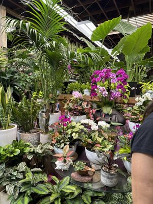 City Home & Garden, Inc by null