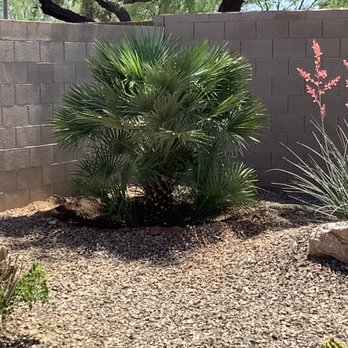 Moon Valley Nurseries - Nurseries & Gardening Near Me - Chandler, Arizona Moon Valley Nurseries - Nurseries & Gardening Near Me - Chandler, Arizona