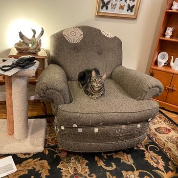 Marys Upholstery - Before - Furniture Reupholstery Near Me - Palmdale, California Marys Upholstery - Before - Furniture Reupholstery Near Me - Palmdale, California