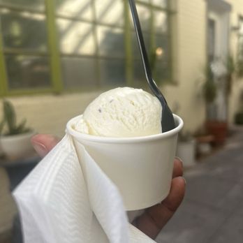 Novel Ice Cream - Single scoop of lavender - Ice Cream & Frozen Yogurt Near Me - Mesa, Arizona