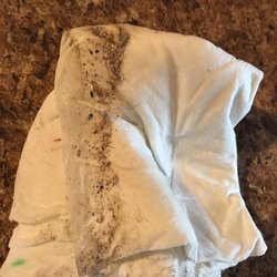 Maid Brigade - One wipe of counter top