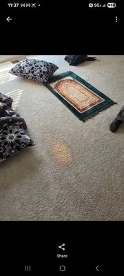 Bleach Color Restoration & Stain Removal - This is our fiber color restoration and stain removal work. Bleach Color Restoration & Stain Removal - This is our fiber color restoration and stain removal work.