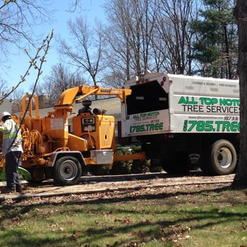 Top Notch Tree Service - Tree Services Near Me - Fredericksburg, Virginia Top Notch Tree Service - Tree Services Near Me - Fredericksburg, Virginia