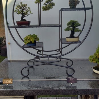 Chicago Botanic Garden - Bonsai love. - Botanical Gardens Near Me - Glencoe, Illinois