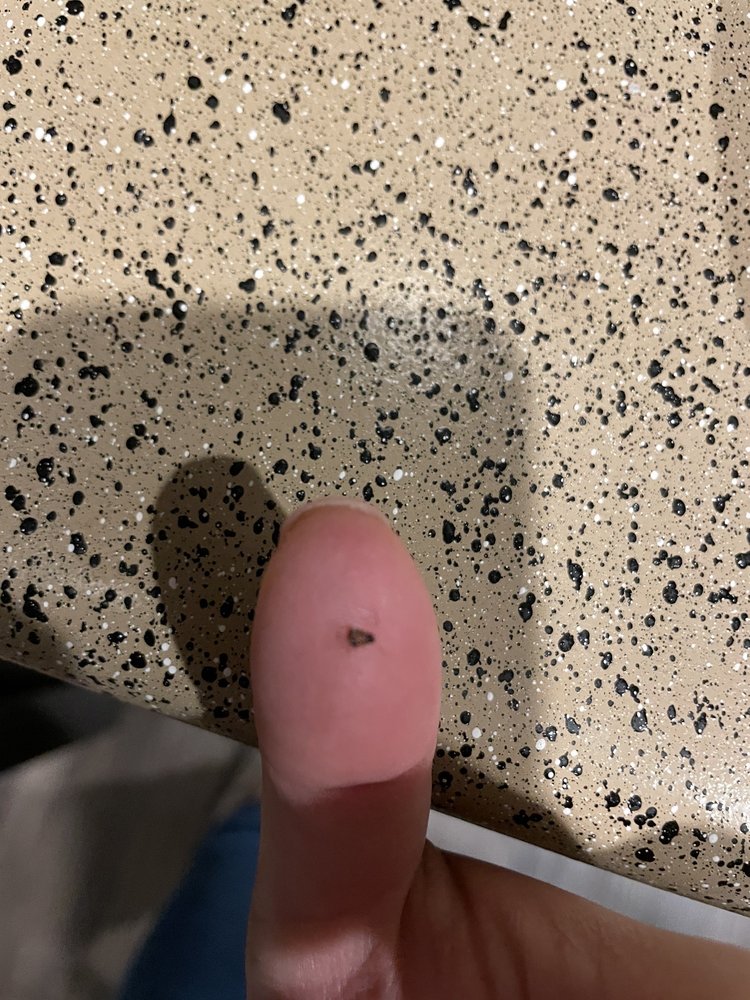 THE VILLAGE OF HAMPTON COVE Updated September 2024 130 Photos & 50 Reviews 11300 Expo Blvd