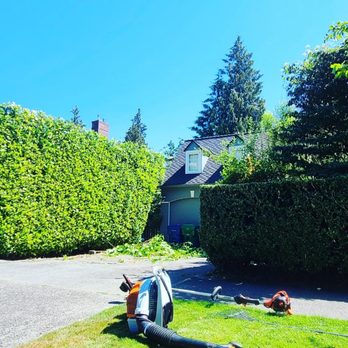 Sunglow Maple Landscaping Services - a house and a lawn - Landscaping Near Me Sunglow Maple Landscaping Services - a house and a lawn - Landscaping Near Me