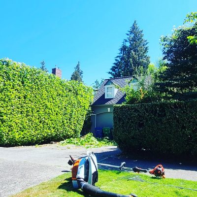 Yard Clean Up Services - Now offering yard clean up services Yard Clean Up Services - Now offering yard clean up services