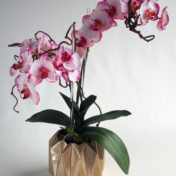 Robert-Lawrence Designs - Home Decor Near Me - Dallas, Texas Robert-Lawrence Designs - Home Decor Near Me - Dallas, Texas
