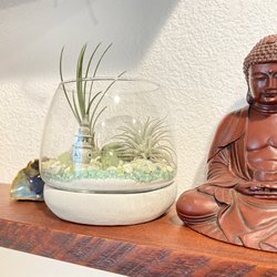 Golden State Succulents - My finished creation, glass vessel with cement base. I used two air ferns, sand, rock, glass and stone to build up the bottom