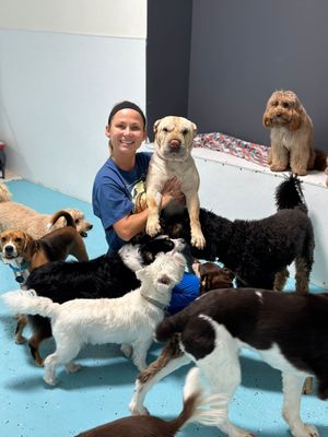 City Bark Miami by null