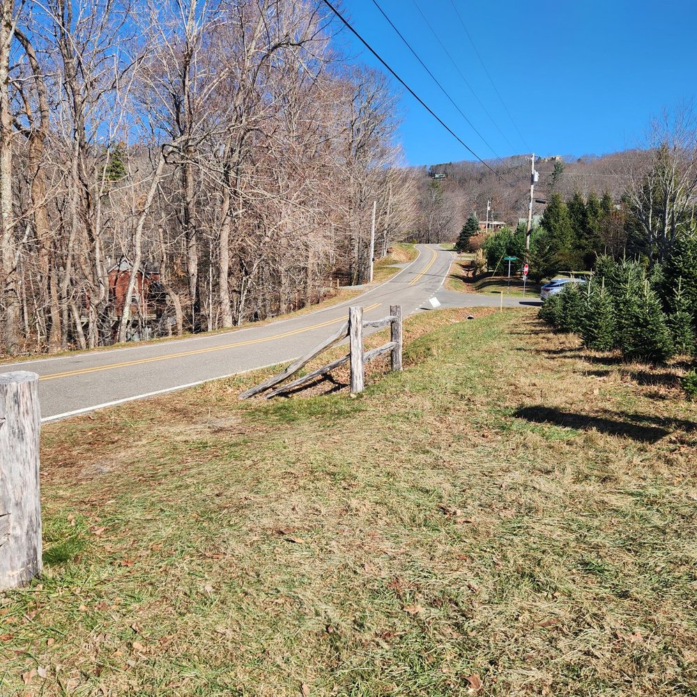 Good Shepherd Trees - Christmas Trees Near Me - Boone, North Carolina
