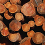 Photo of J & M Logging