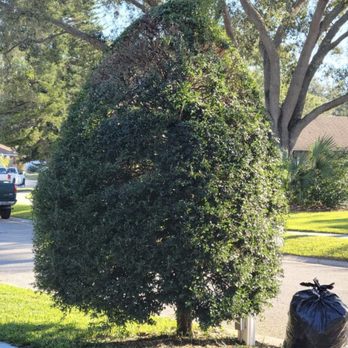Hudson Family Tree Care - Tree Services Near Me Hudson Family Tree Care - Tree Services Near Me