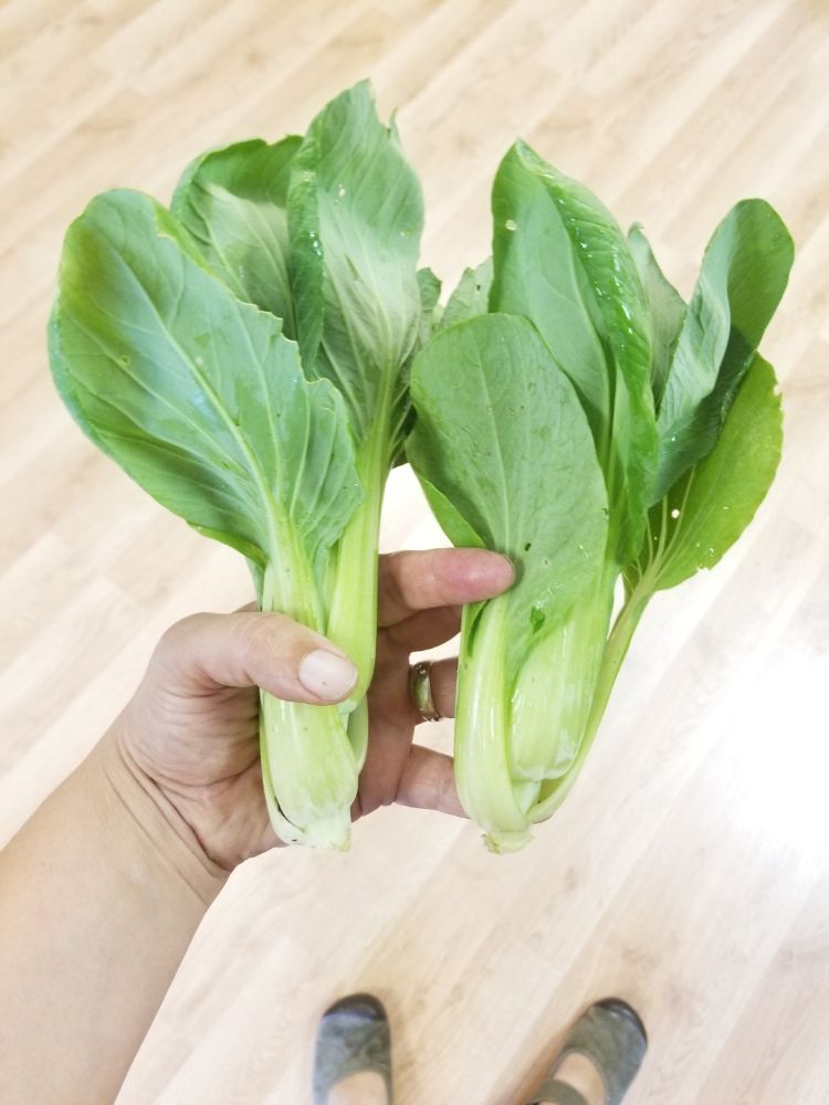 Food from Bountiful Beloit