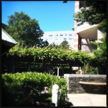 Hasbro Children's - Pediatric area garden view - Pediatricians Near Me - Providence, Rhode Island Hasbro Children's - Pediatric area garden view - Pediatricians Near Me - Providence, Rhode Island