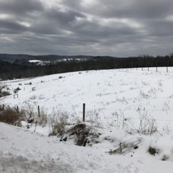 Diehl Homestead Farm