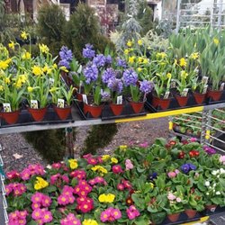 Roots Nursery & Landscape