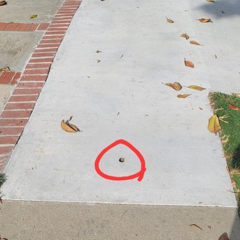 Palu Concrete Construction - Hole - Masonry/Concrete Near Me