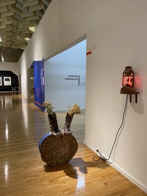 Marjorie Barrick Museum of Art by null