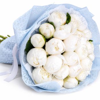 Maison Flowers - -- Snow Peony Bliss ($325)
25 white peonies in pastel blue wrapping. Timeless
elegance for a once-in-a-lifetime milestone - Florists Near Me - Burbank, California Maison Flowers - -- Snow Peony Bliss ($325)
25 white peonies in pastel blue wrapping. Timeless
elegance for a once-in-a-lifetime milestone - Florists Near Me - Burbank, California