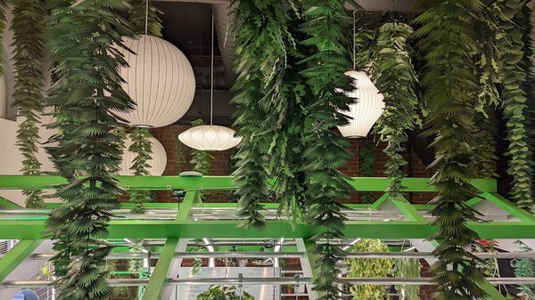 Greenhouse Café at Seed Brklyn by null