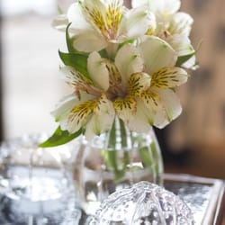 Rooms & Gardens