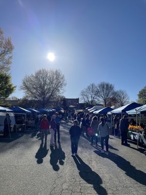 Davidson Farmer's Market by null