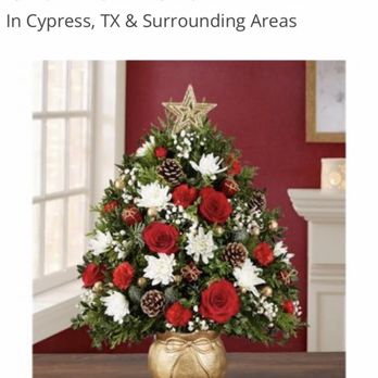 Spring Cypress Flowers - This is how it was supposed to look - Florists Near Me - Cypress, Texas Spring Cypress Flowers - This is how it was supposed to look - Florists Near Me - Cypress, Texas