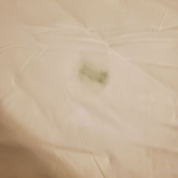 Thayers Inn - What is this!?!? Someone had to knowingly put this sheet on the bed.... - Hotels Near Me - Littleton, New Hampshire Thayers Inn - What is this!?!? Someone had to knowingly put this sheet on the bed.... - Hotels Near Me - Littleton, New Hampshire
