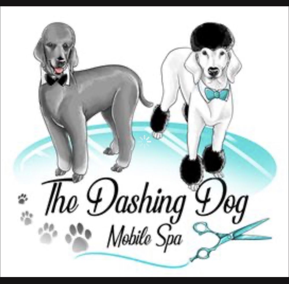 THE DASHING DOG Updated August 2024 Belleville, West Virginia Pet