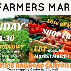 Canyon Lake Farmers Market - Photo is from their FB site. Go follow them on FB and Insta, too