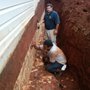 Photo of Apex Termite & Pest Control