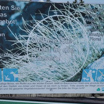 Arber Wanderung - Nicht in die Binsen gehen. Keine Binsenweisheit, sondern Naturschutz - Hiking Near Me