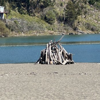 Goat Rock Beach - Parks Near Me Goat Rock Beach - Parks Near Me