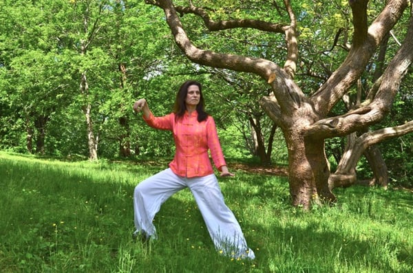 Qi Gong Institute of Rochester