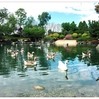 Auburn Botanic Gardens - Japanese gardens - Landmarks & Historical Buildings Near Me - Auburn, NSW